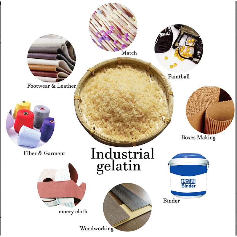 Halal Gelatin 2024 New Arrival Manufacturer Edible Gelatin 25kg/bag 120 240 250 Bloom food grade gelatin powder